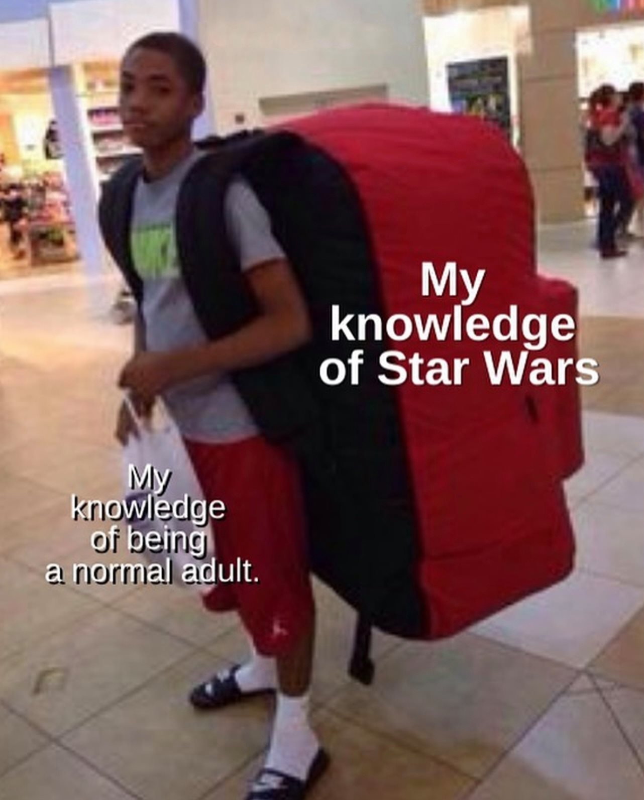 This meme features a person who is proud of their knowledge of Star Wars, but in a humorous way, they're also acknowledging that their expertise is largely based on being a fan of the franchise from a young age. The image shows a person carrying a massive backpack, with the text "My knowledge of Star Wars" on one side and "My knowledge of being a normal adult" on the other.